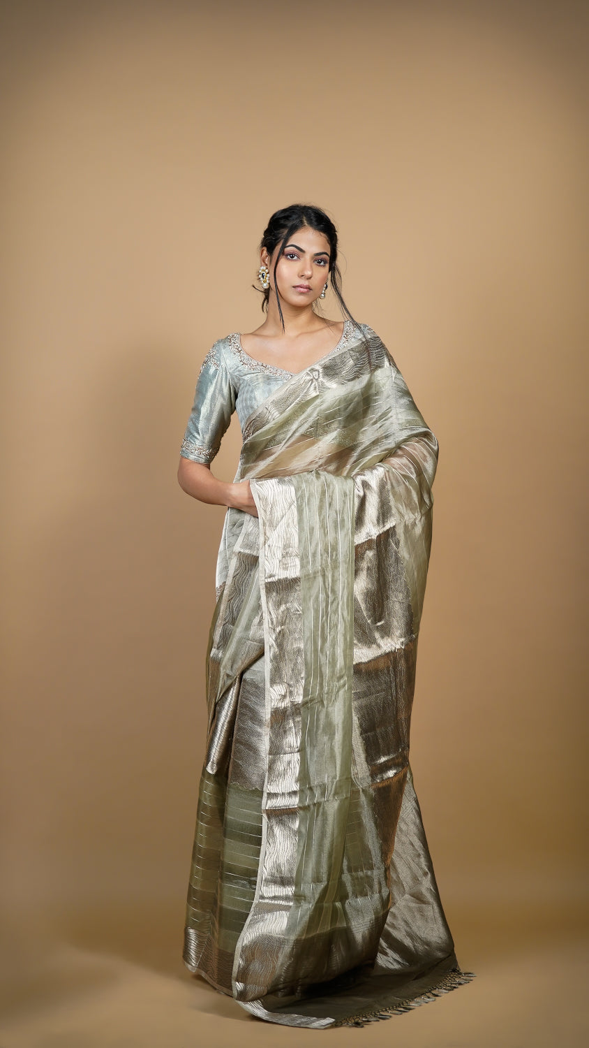 Tissue Organza Banarasi Saree