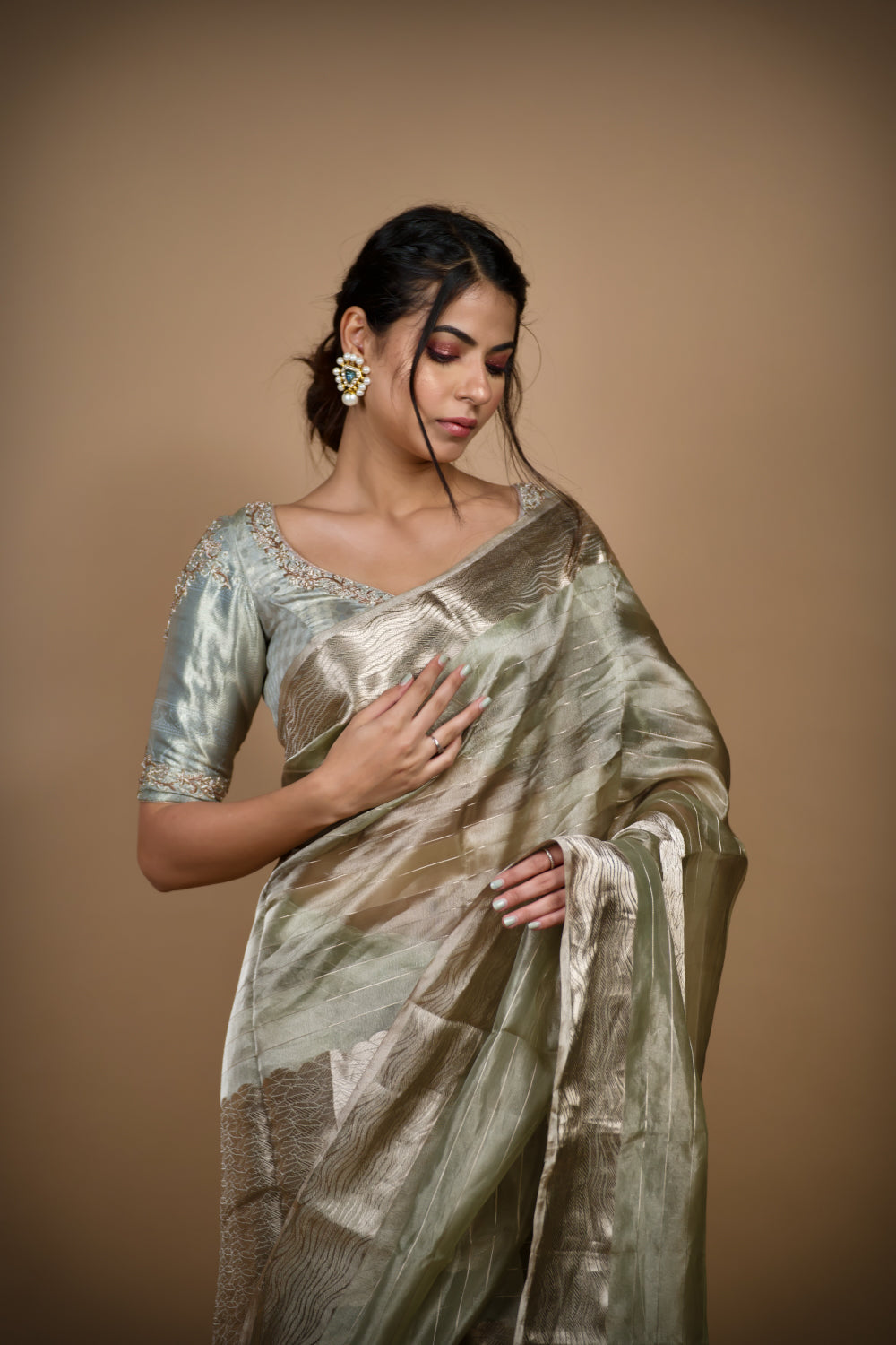 Tissue Organza Banarasi Saree