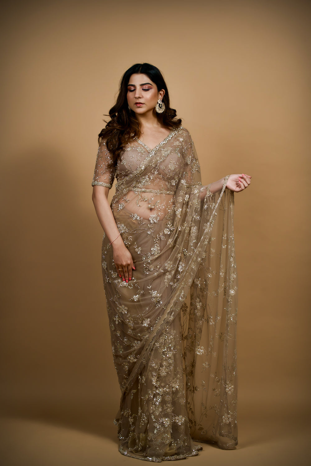 Twilight Shimmer Net Saree