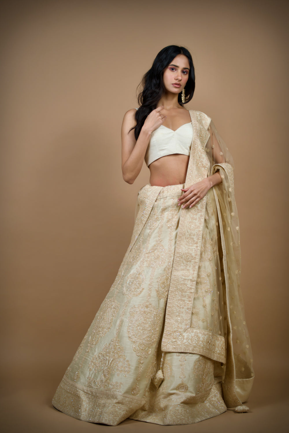 Chic Embroidered Skirt Lehenga