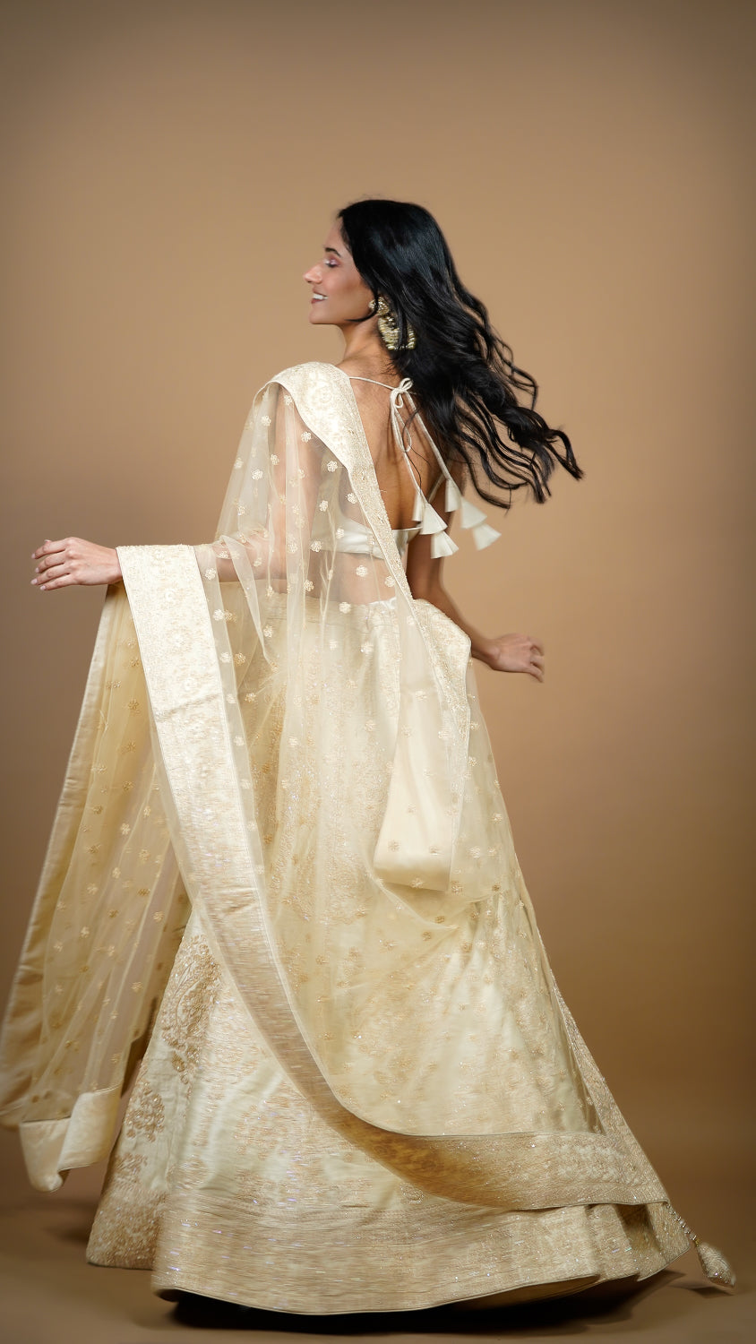 Chic Embroidered Skirt Lehenga