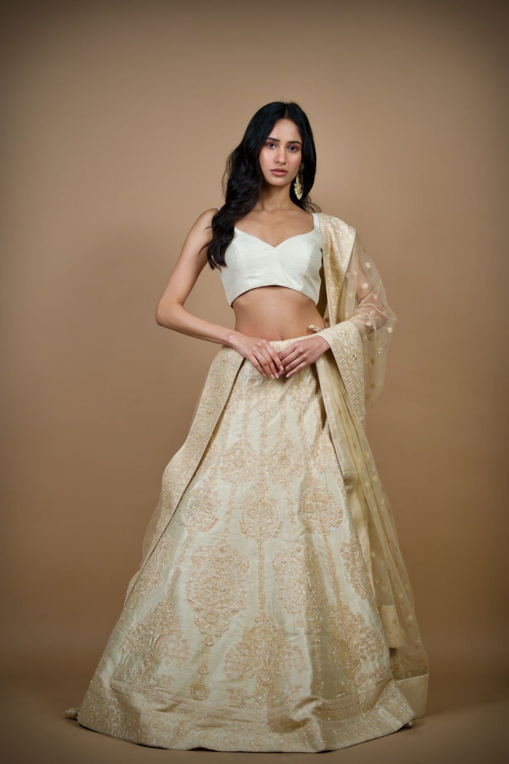 Chic Embroidered Skirt Lehenga