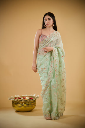 Shimmering Pistachio Organza Saree