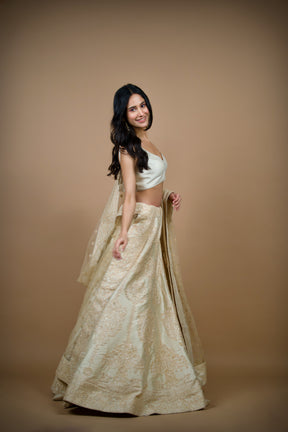 Chic Embroidered Skirt Lehenga