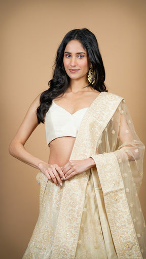 Chic Embroidered Skirt Lehenga