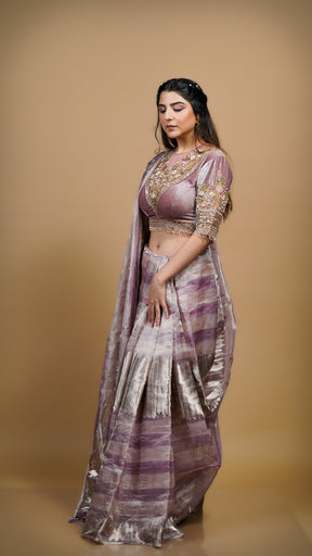 Kiara  Organza Saree