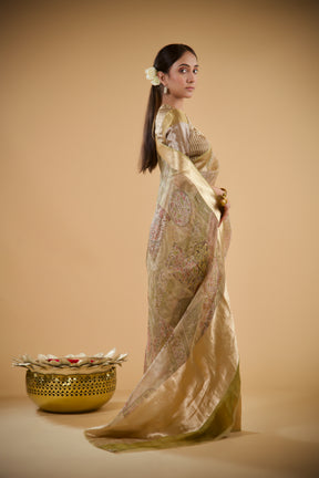 Golden Glaze Organza Saree