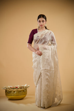Heer Tissue Saree