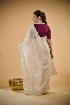 Heer Tissue Saree