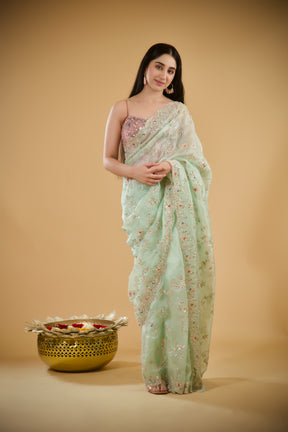 Shimmering Pistachio Organza Saree